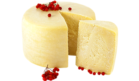 PARMESAN cheese
