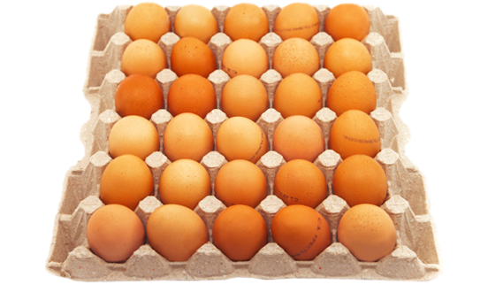 CHICKEN egg (D-1, C-0, С-1)