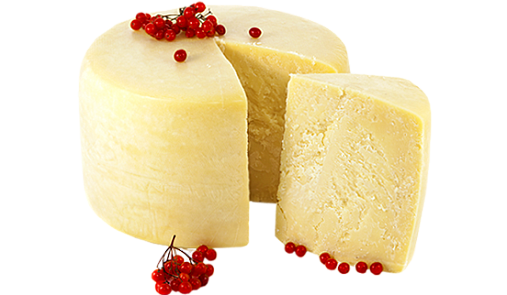АРОСА - купить сыр пармезан оптом для ресторанов и кафе HoReCa