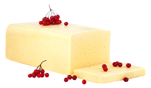 АРОСА - купить сыр тильзитер 45% оптом для ресторанов и кафе HoReCa